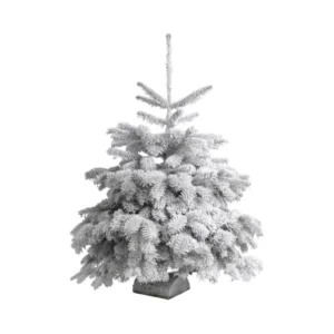 Sapin de Noël Nordmann floqué (120 à 200 cm)