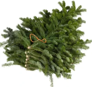 Branches de sapin naturelles (30, 60, 80 et 100 cm)
